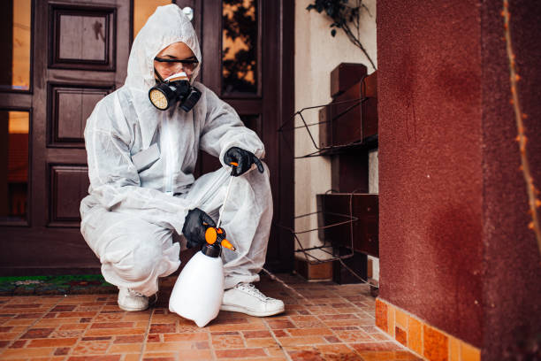 Reliable Cockroach Control contractor in Lampasas, TX by Nex Pest Control